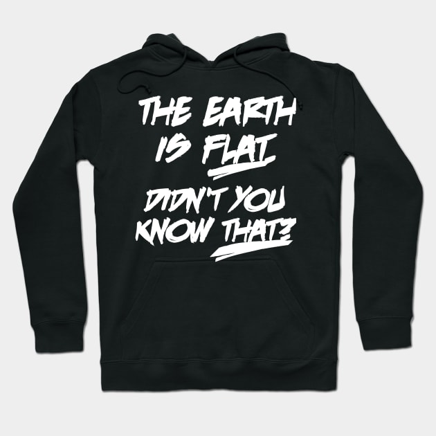 The earth is flat didn't you know that Hoodie by ShinyTeegift